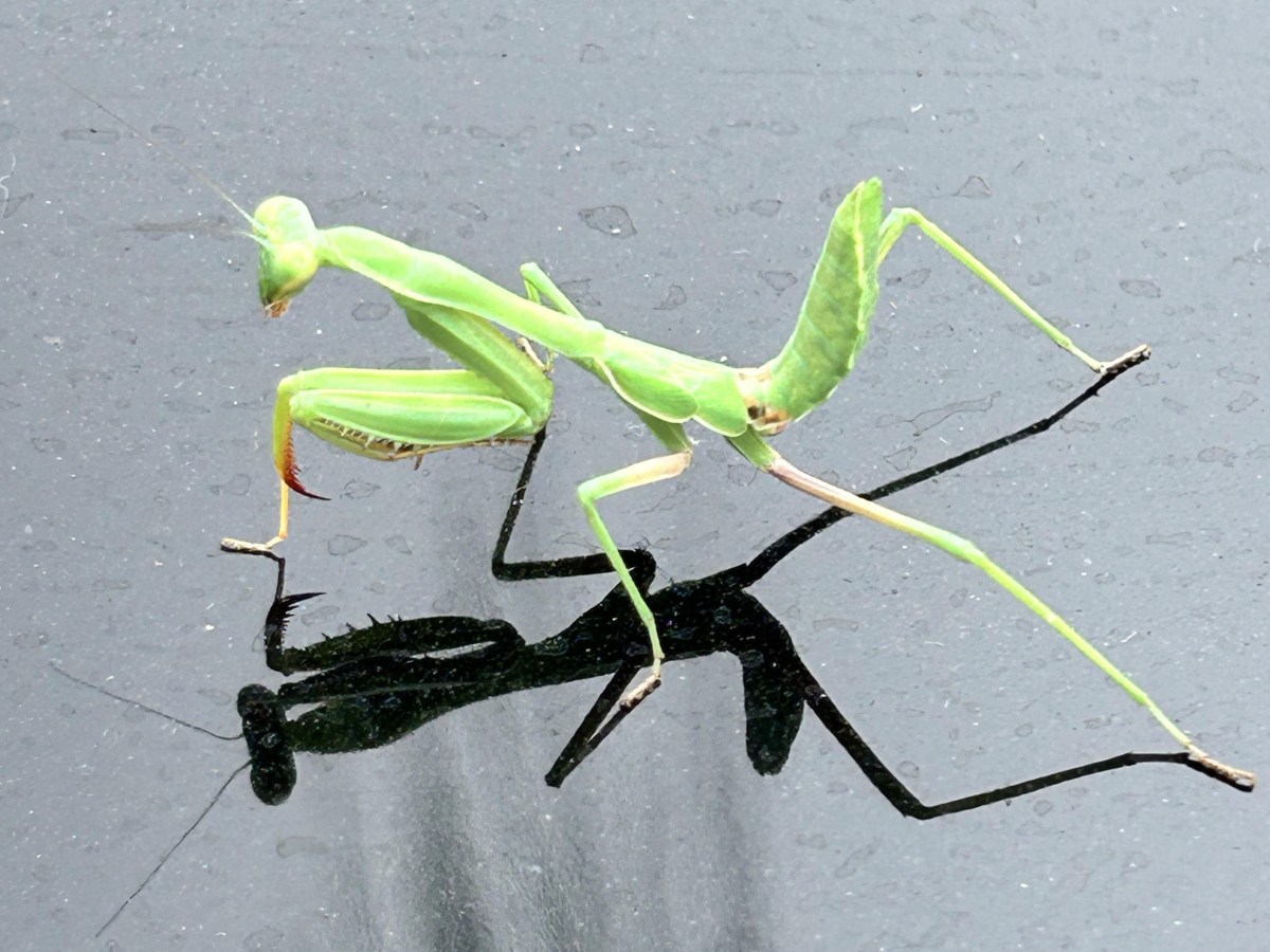 Autumn in the&nbsp;Canyon